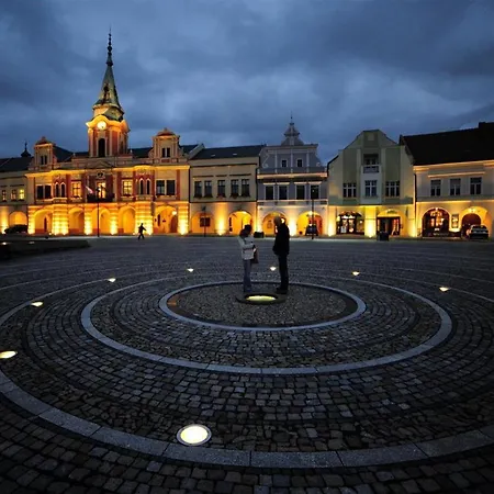 Ubytovani U Vinice Melnik Exterior photo