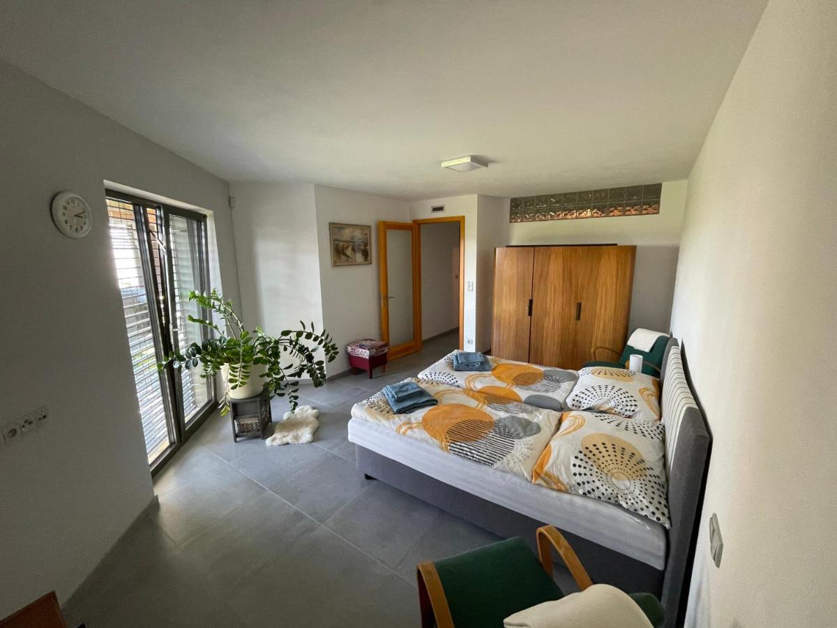 U Vinice Apartment *