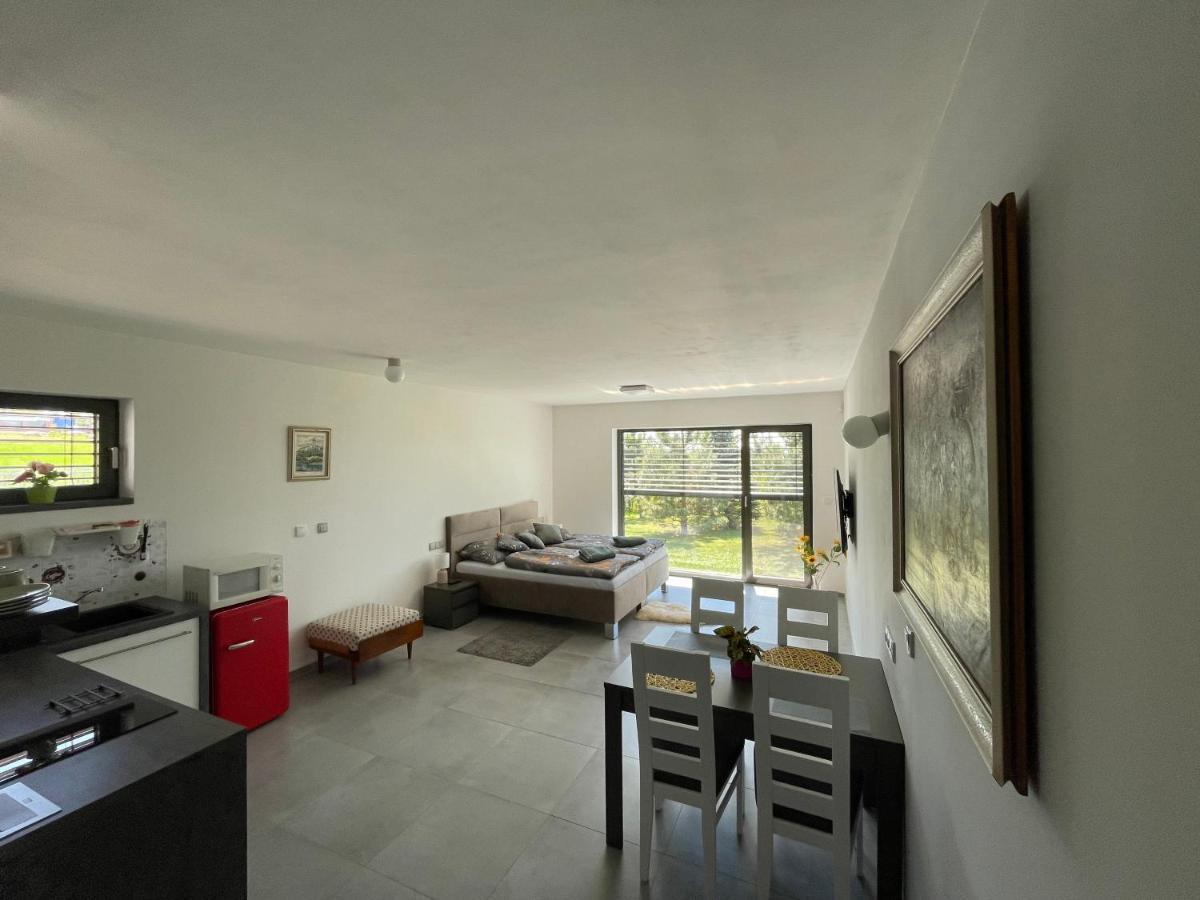 U Vinice Apartment Melnik