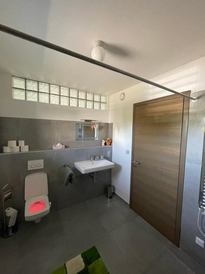 Apartment U Vinice